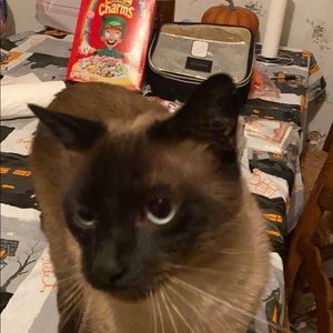 Meet your Posher, Matt